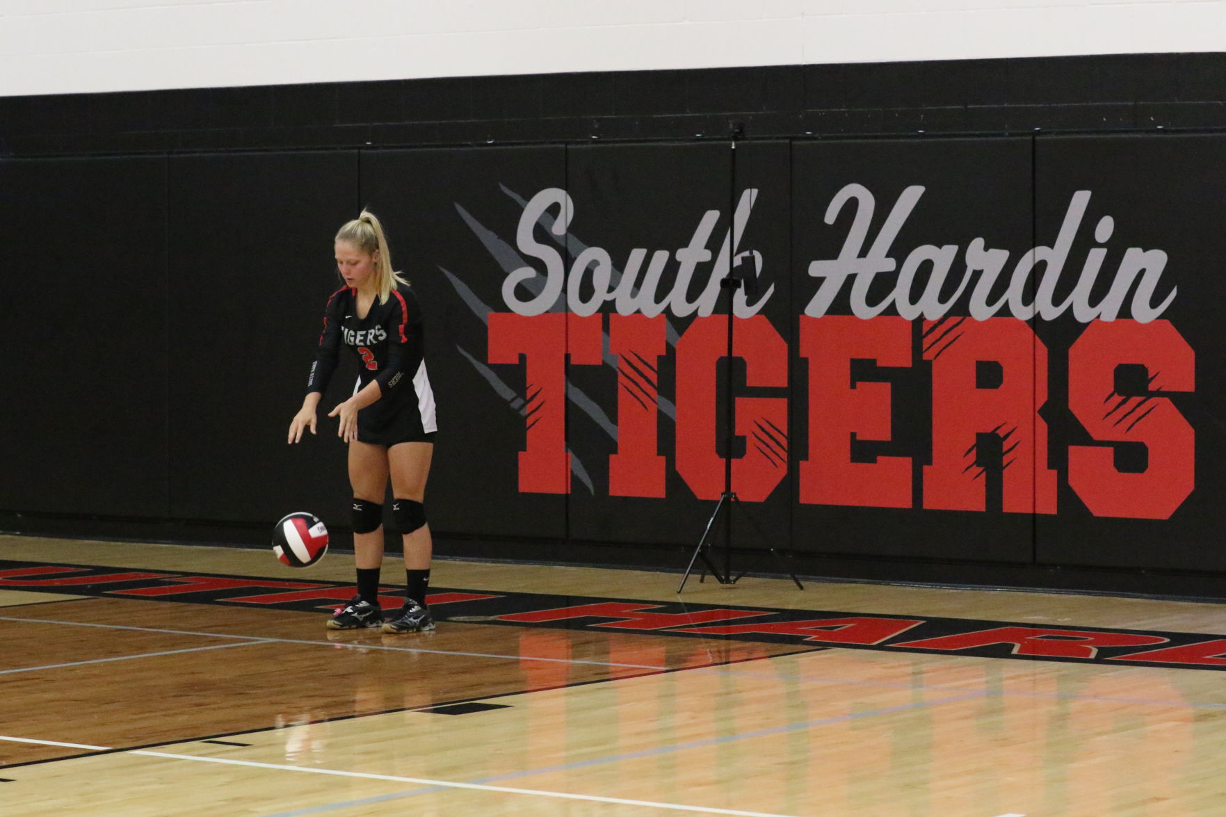VanDePol_SHHawks_7426.JPG